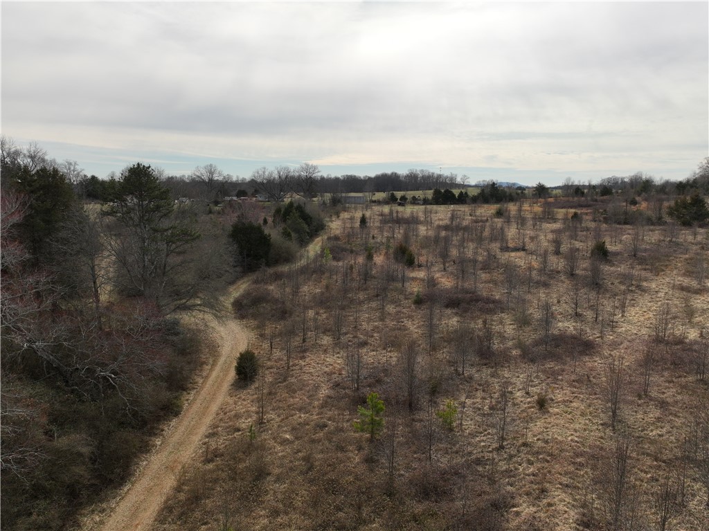 4525 Babb Road Greer, SC 29651 - Photo 10 of 30 This expansive lot offers a serene retreat with natural views and a winding path.