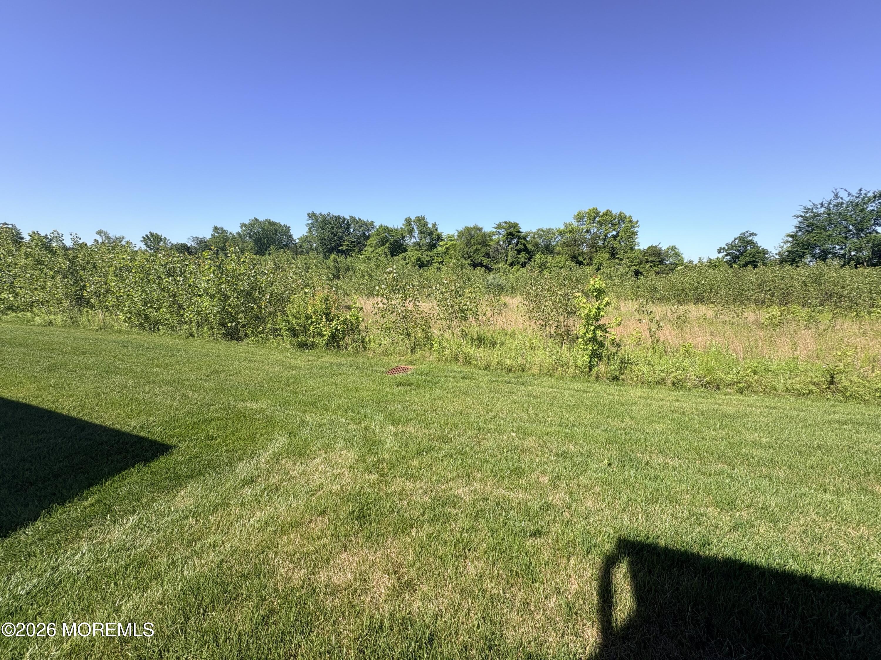 52 Belmont Road New Egypt, NJ 08533 - Photo 26 of 42 IMG_7013