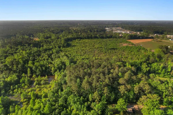 $35,000 | 3172 Hair Nook Road, Conway, SC 29526