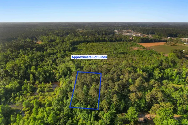 $35,000 | 3172 Hair Nook Road, Conway, SC 29526