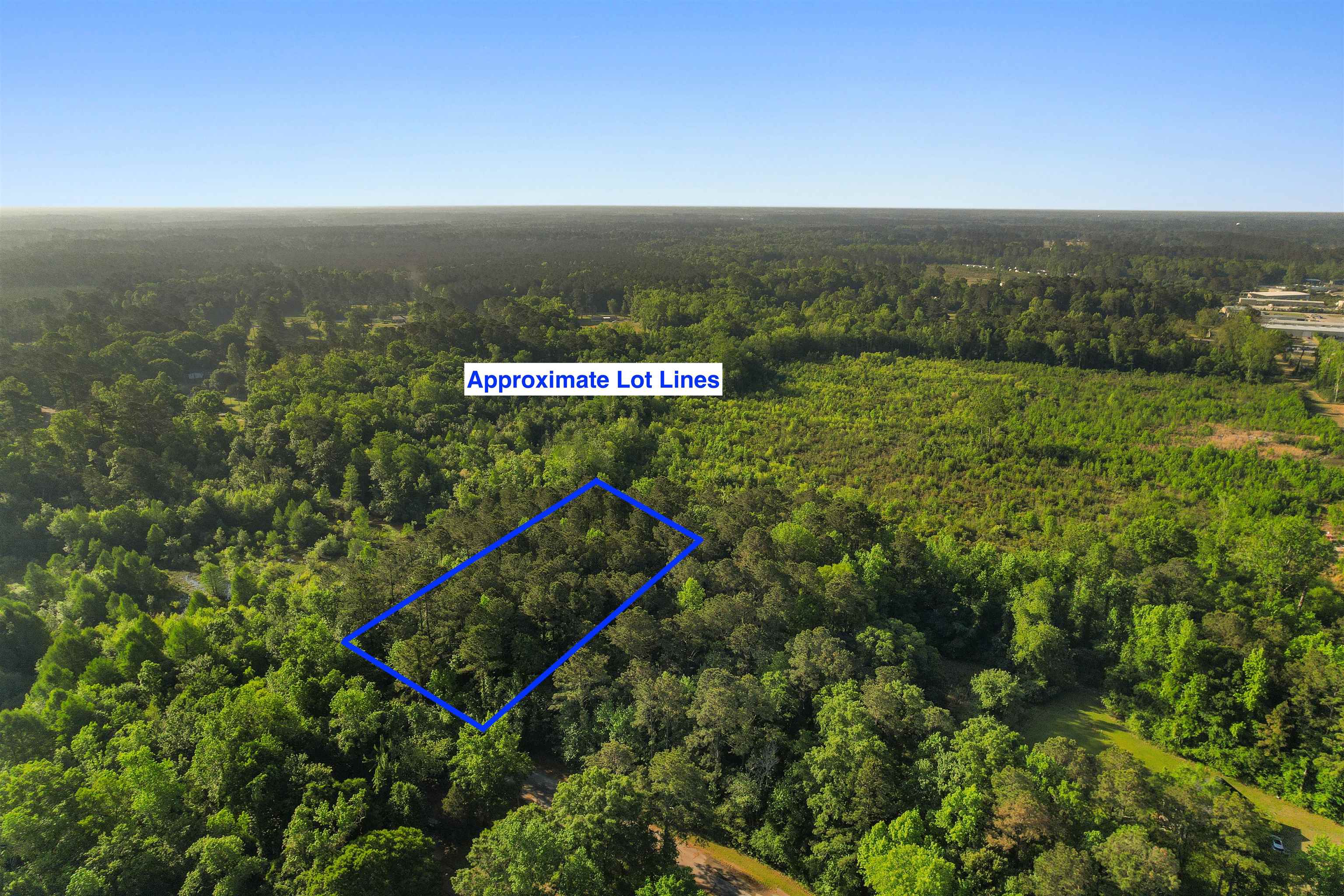 3172 Hair Nook Road Conway, SC 29526 - Photo 3 of 20