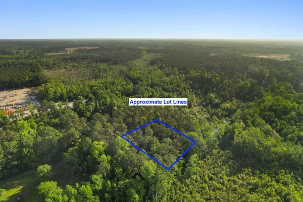 $35,000 | 3172 Hair Nook Road, Conway, SC 29526