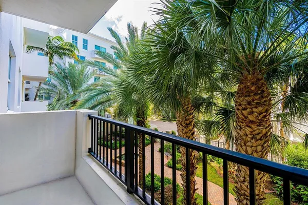 a view of a balcony with a plant