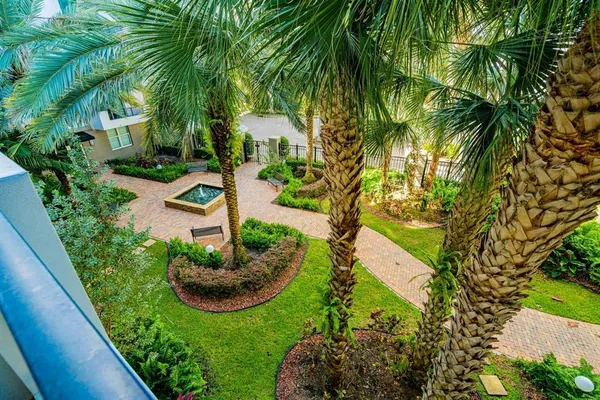 a view of a garden with plants
