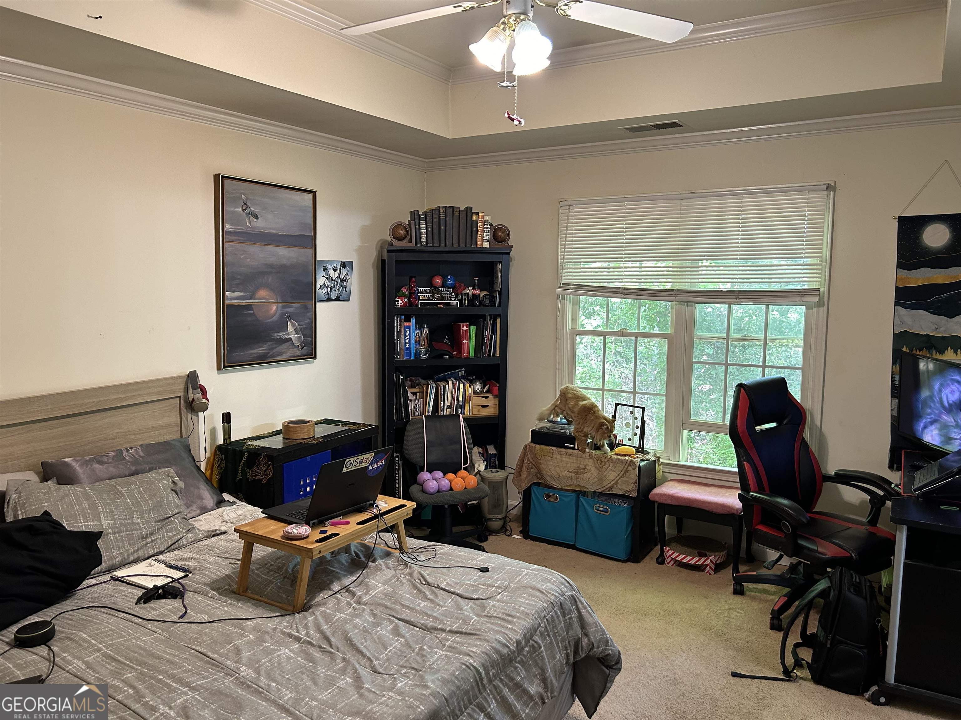 174 Spring Lake Drive Athens, GA 30605 - Photo 9 of 10 a bedroom with a bed gym equipment and a large window