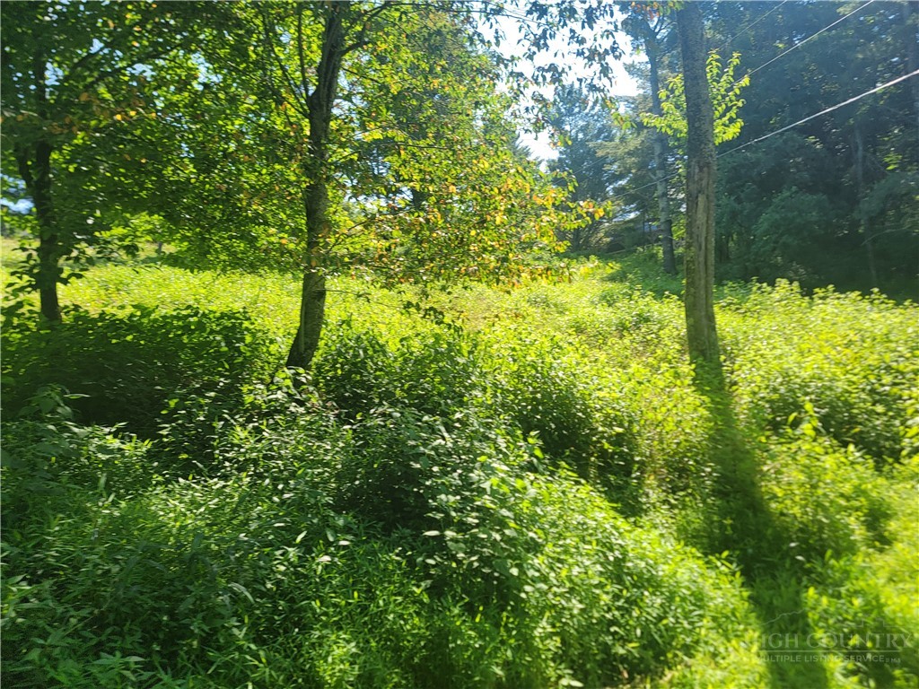 Lot 67 Center Court Drive Boone, NC 28607 - Photo 2 of 2