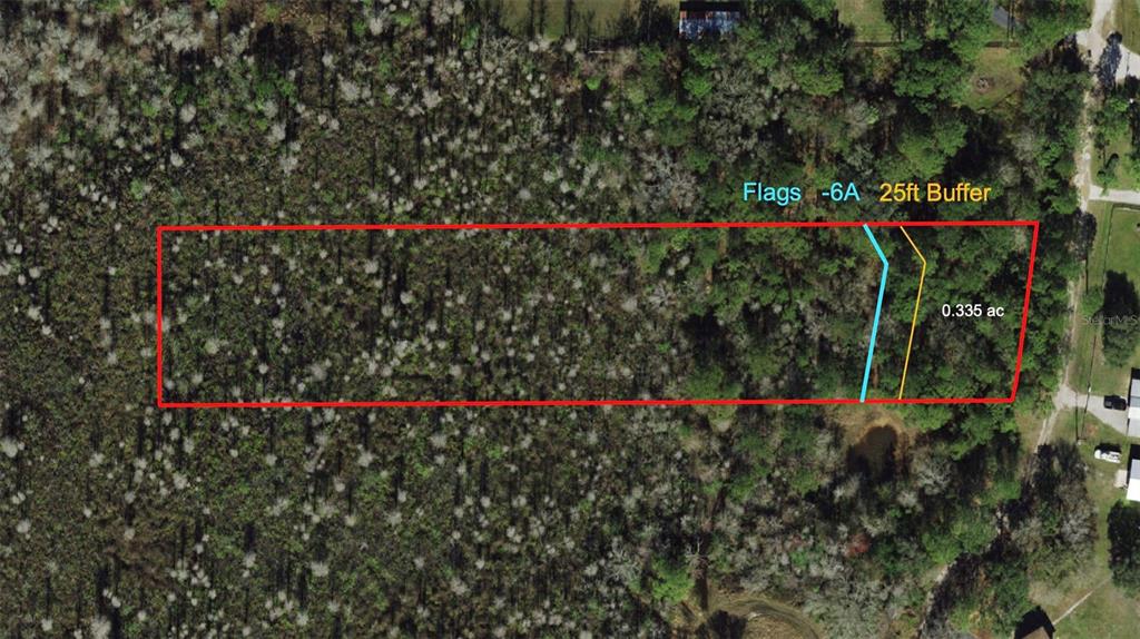 Westpoint Drive, Unit 474 Wesley Chapel, FL 33544 - Photo 2 of 2 a view of a flower garden