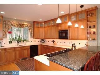 417 Mcclenaghan Mill Road Wynnewood, PA 19096 - Photo 6 of 6