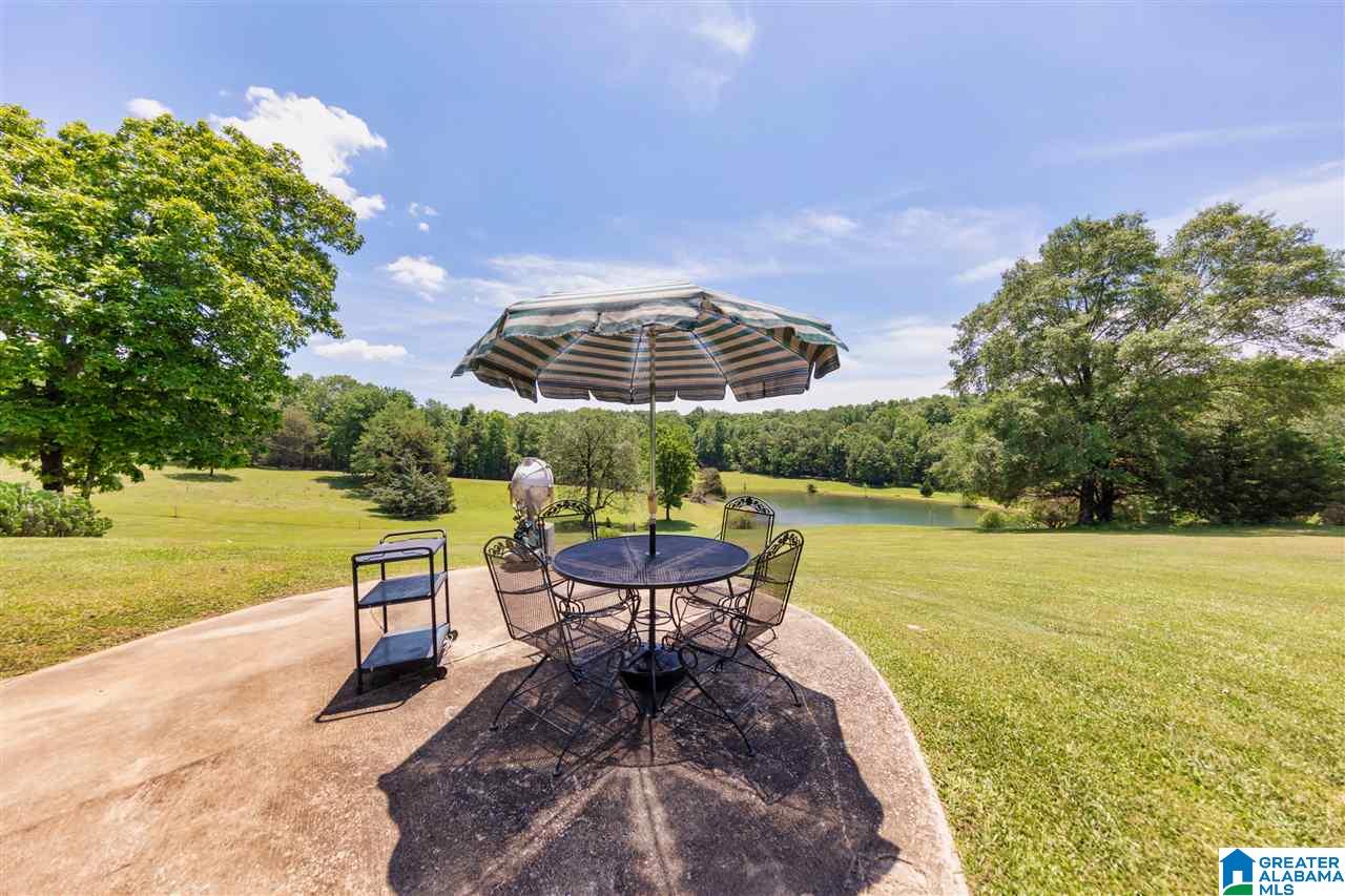 5744 Spring Creek Road Montevallo, AL 35115 - Photo 5 of 44