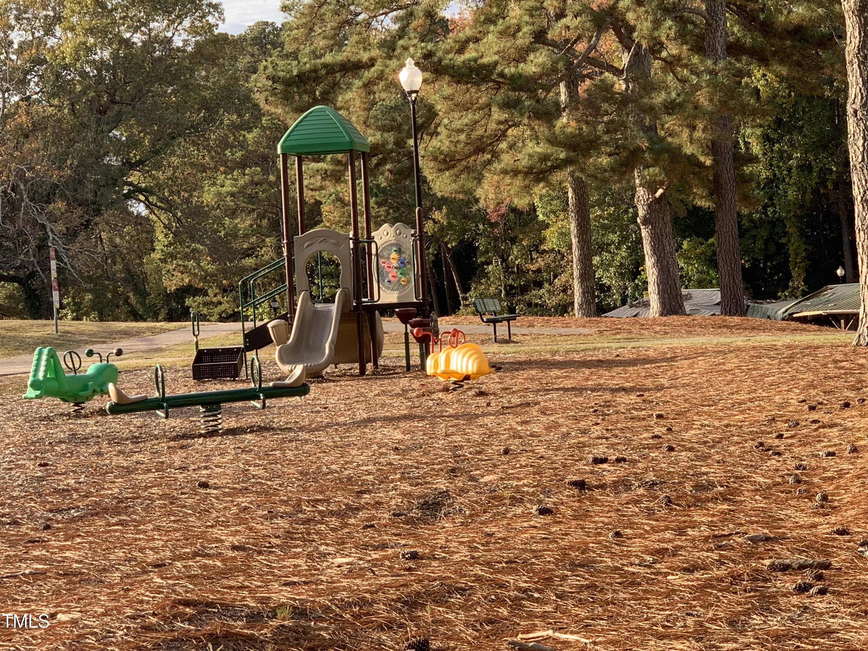 2883 Putnam Glendon Road Carthage, NC 28327 - Photo 48 of 64 Nancy Kiser Park Tot Lot