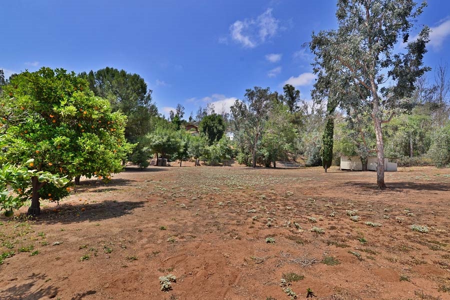 11319 Posthill Road Lakeside, CA 92040 - Photo 20 of 25 Land, Land, and more flat usable land! Also plenty of vitamin C with these mature fruit trees.