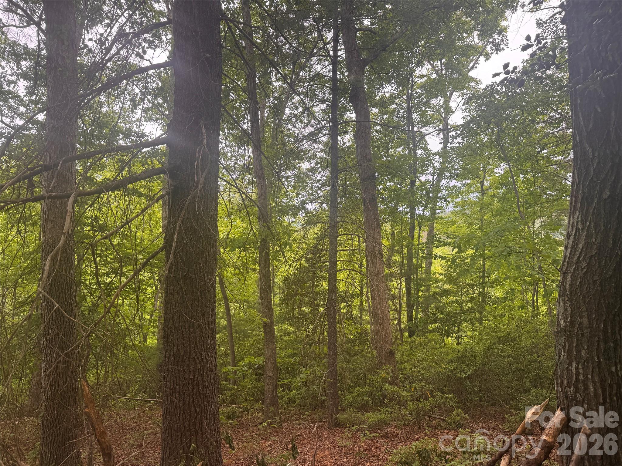 124 Parker Road Casar, NC 28020 - Photo 11 of 15
