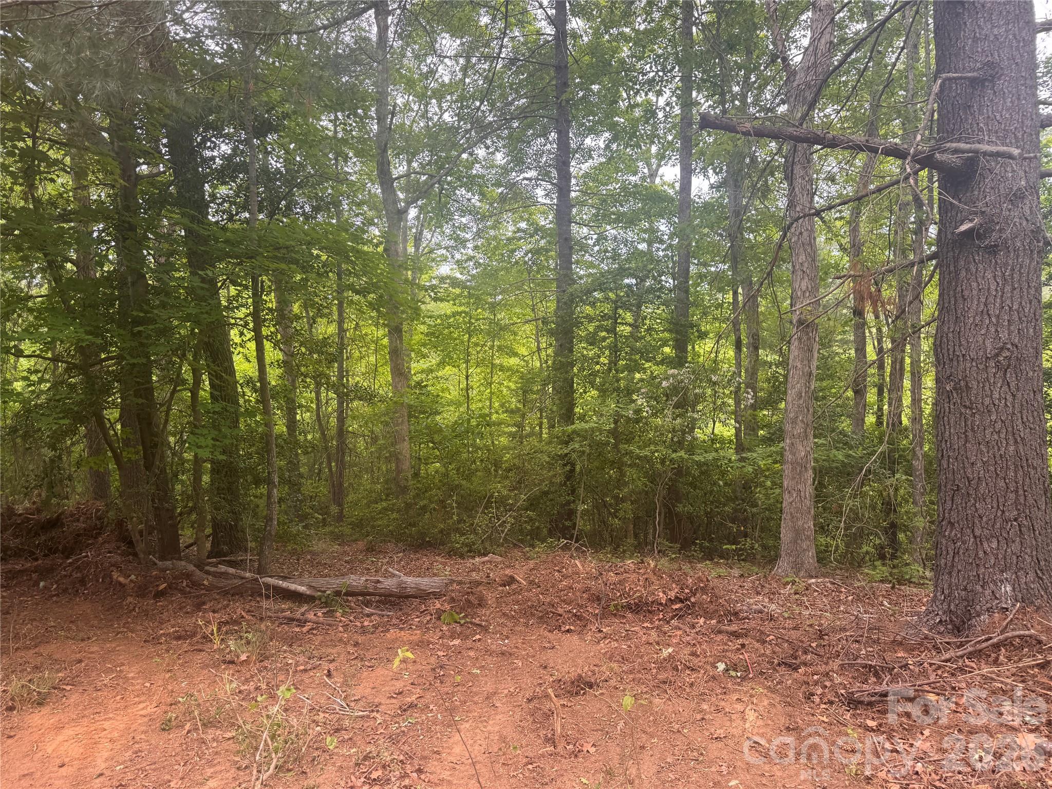 124 Parker Road Casar, NC 28020 - Photo 12 of 15