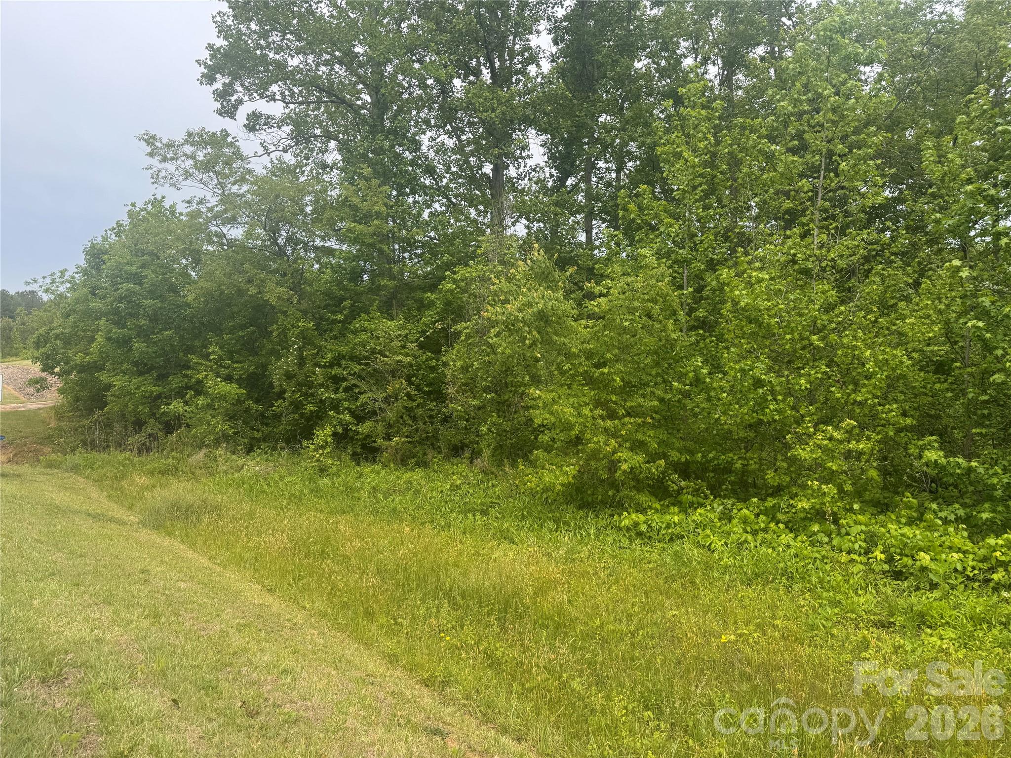 124 Parker Road Casar, NC 28020 - Photo 13 of 15