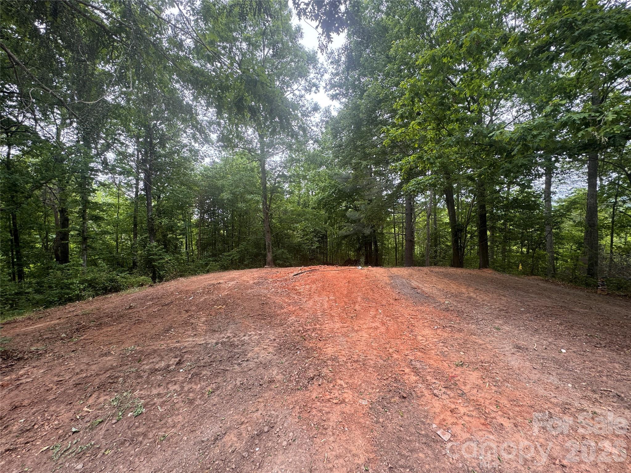 124 Parker Road Casar, NC 28020 - Photo 2 of 15
