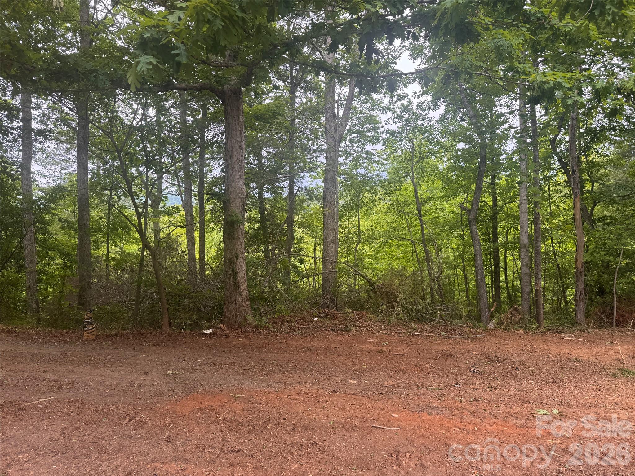 124 Parker Road Casar, NC 28020 - Photo 8 of 15