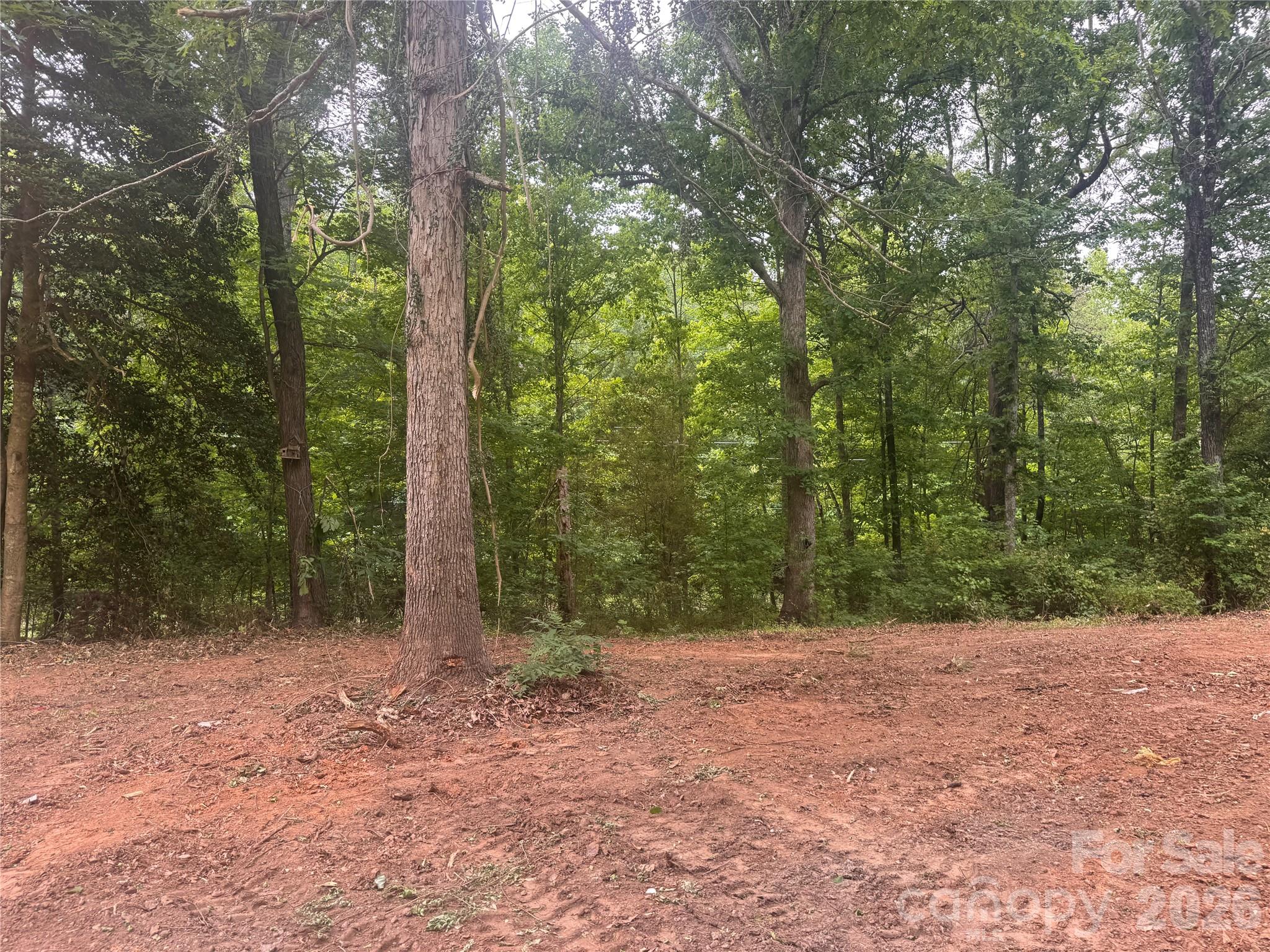 124 Parker Road Casar, NC 28020 - Photo 9 of 15