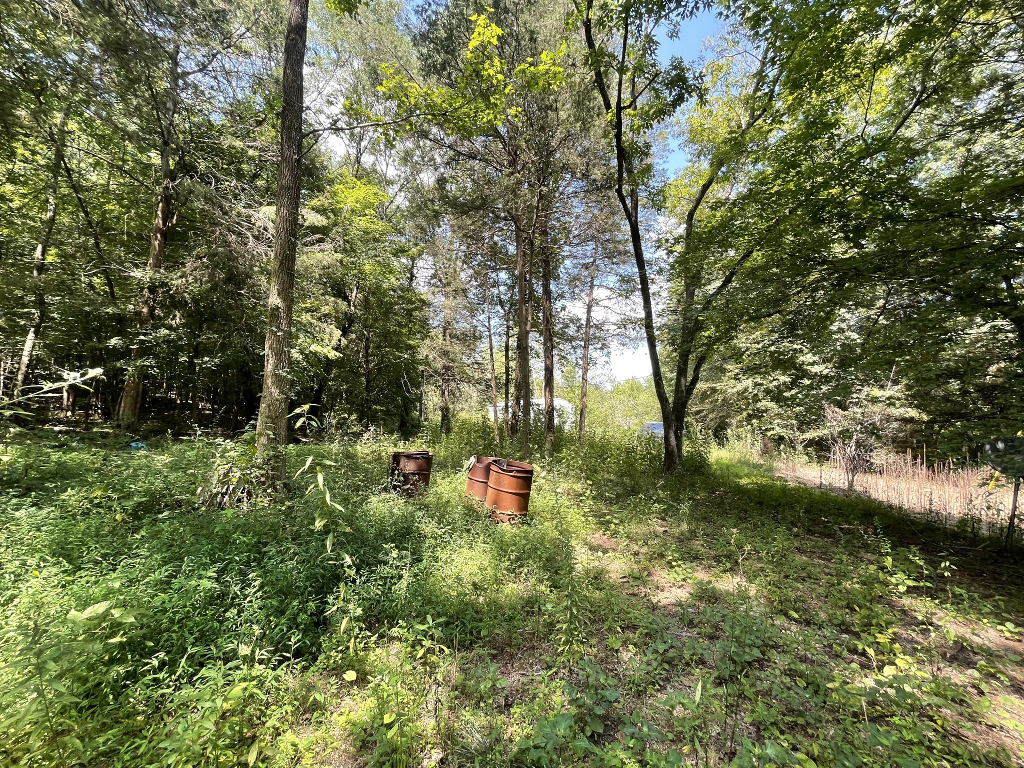 545 Warren Hollow Road Clifton, TN 38425 - Photo 3 of 17 Gallery Image 3