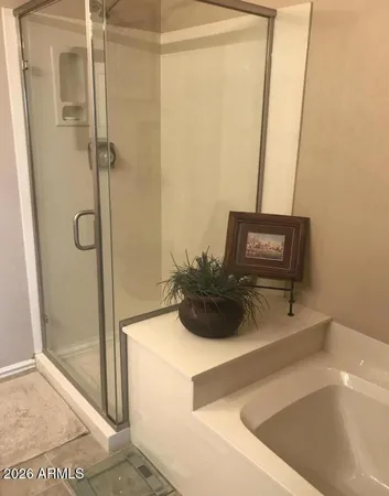 a bathroom with a bathtub and a shower