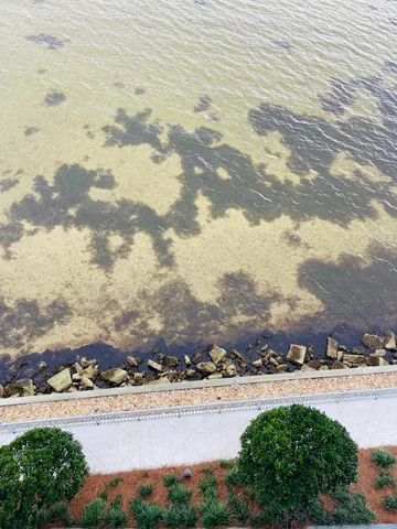 a view of city and ocean