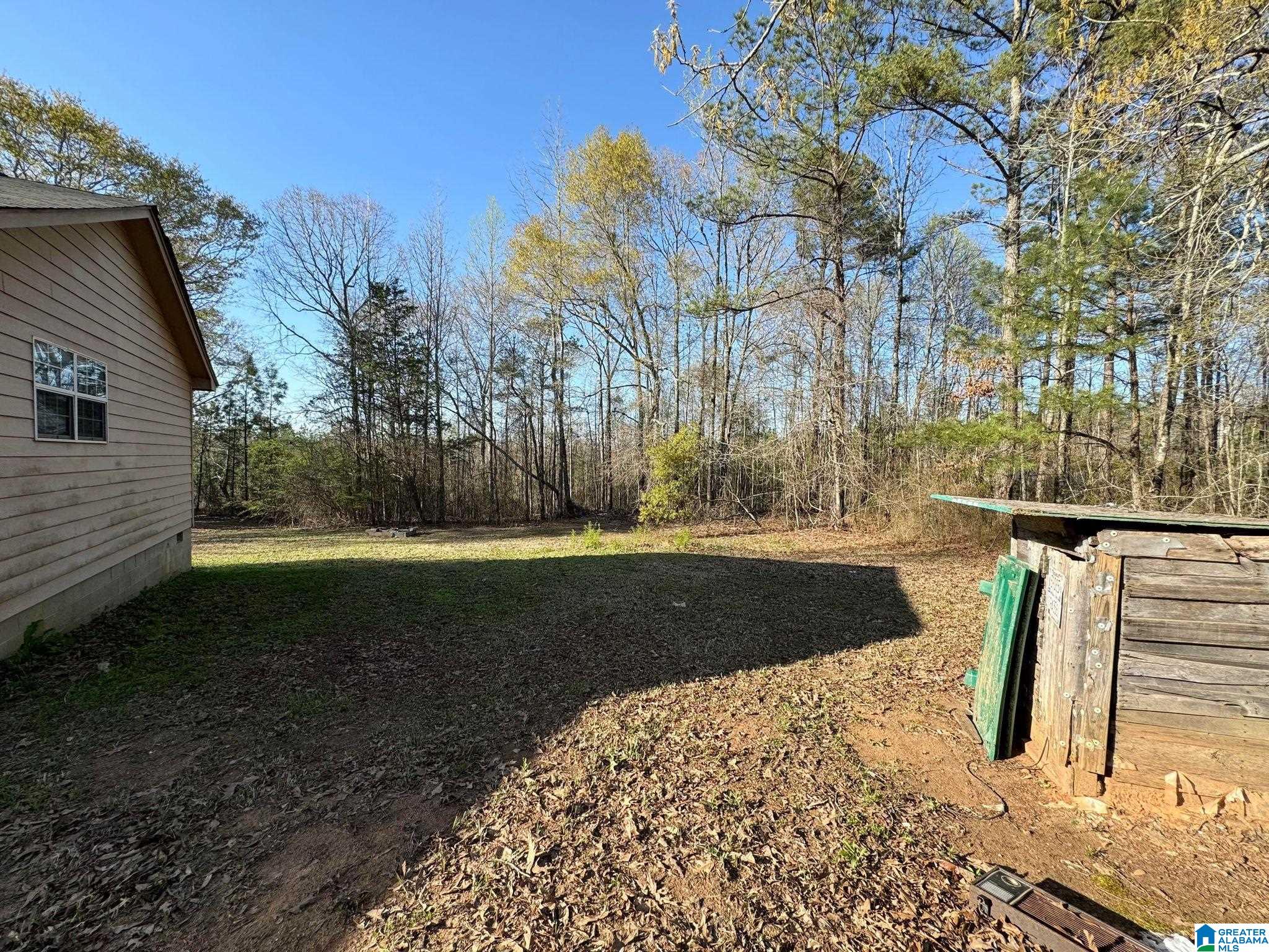 373 Williams Road Wadley, AL 36276 - Photo 17 of 18