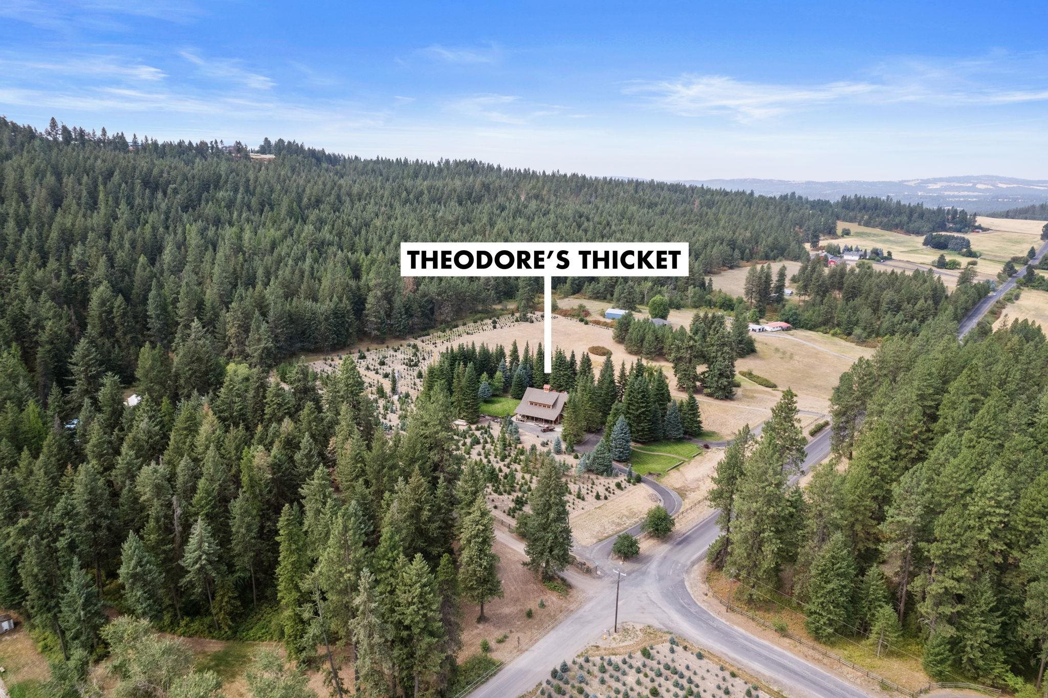 8121 East Bernhill Road Colbert, WA 99005 - Photo 43 of 45