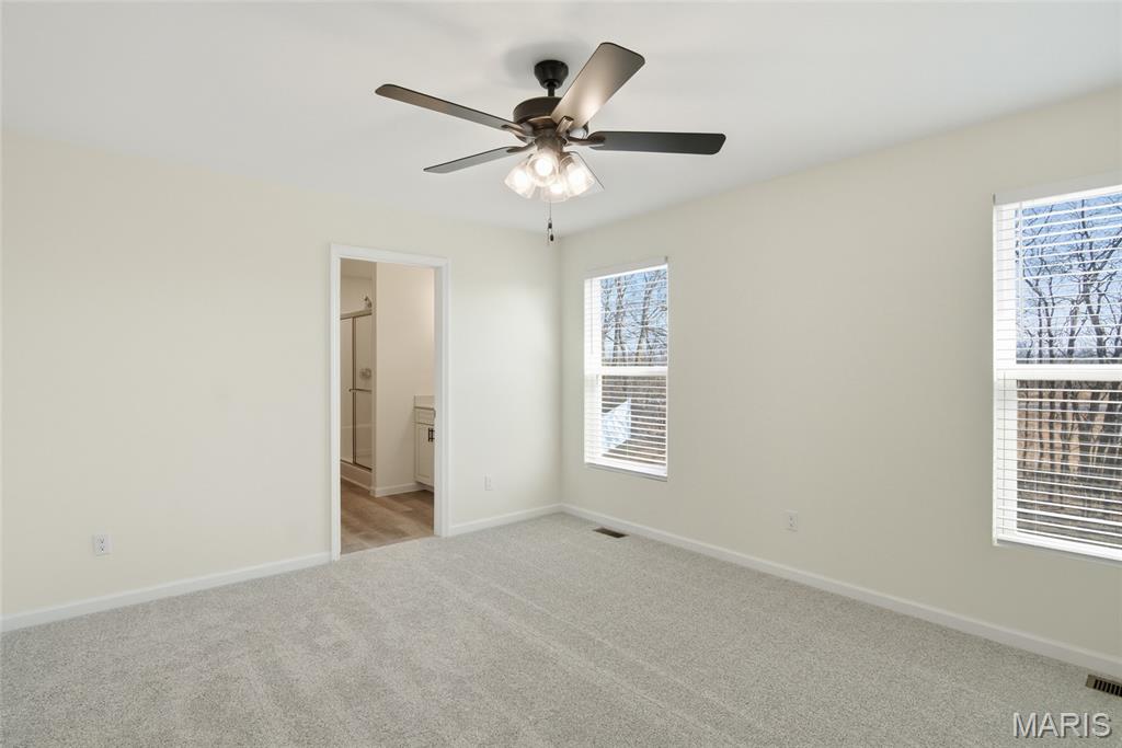 1123 Castle Green Drive Waterloo, IL 62298 - Photo 13 of 39