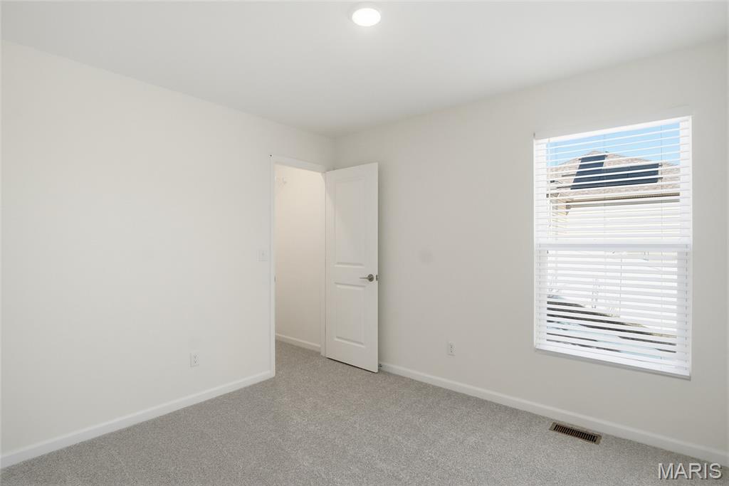 1123 Castle Green Drive Waterloo, IL 62298 - Photo 21 of 39