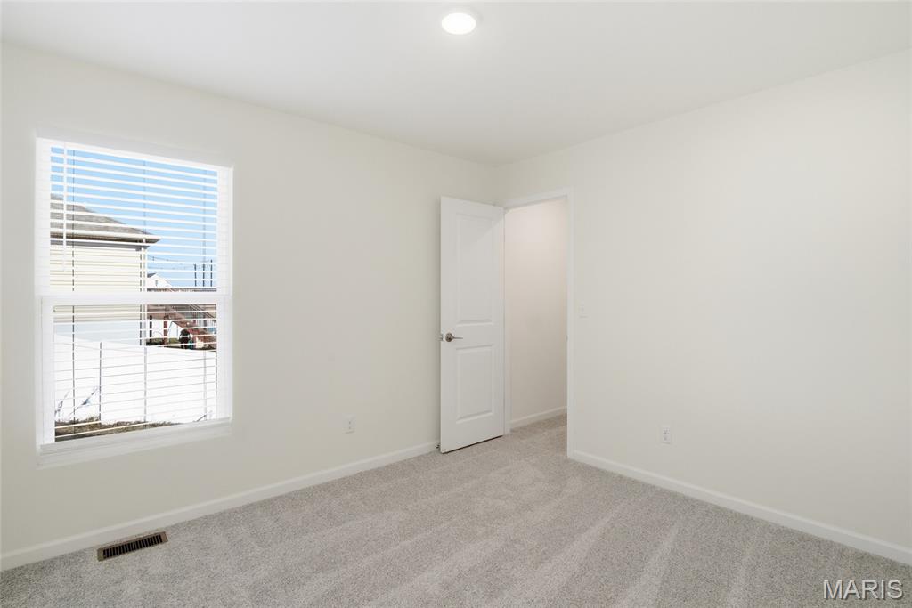 1123 Castle Green Drive Waterloo, IL 62298 - Photo 25 of 39