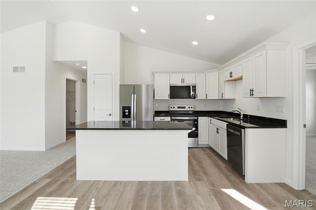 1123 Castle Green Drive Waterloo, IL 62298 - Photo 6 of 39