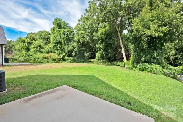 a view of a garden with a tree