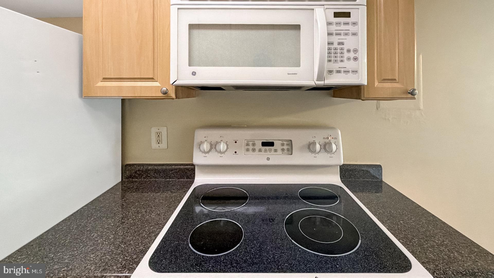 1005 Chillum Road, Unit 317 Hyattsville, MD 20782 - Photo 10 of 17