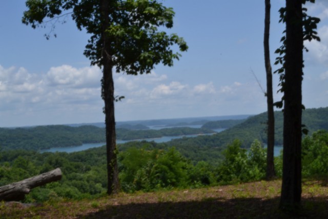 0 Rock Fish Road East Celina, TN 38551 - Photo 18 of 27