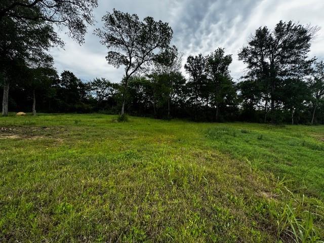 123 Fcr 1000 Road Wortham, TX 76693 - Photo 13 of 18 a view of a field of grass and trees