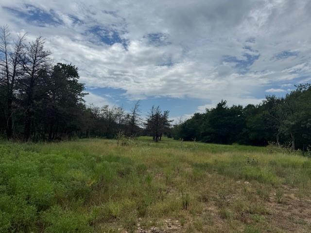 123 Fcr 1000 Road Wortham, TX 76693 - Photo 15 of 18 a view of grassy field with trees