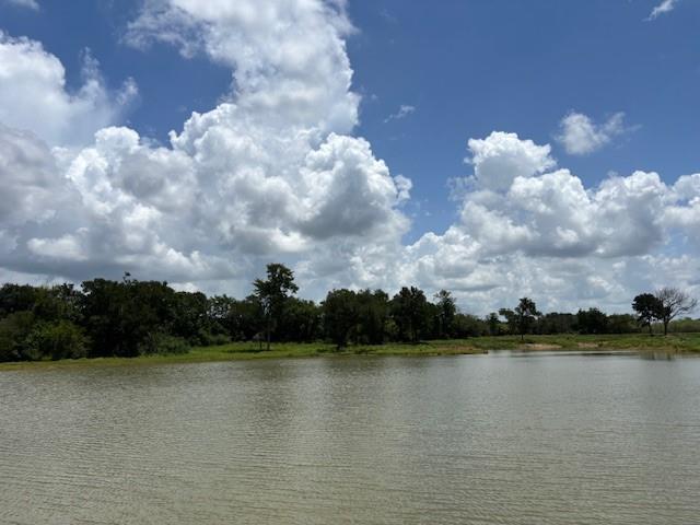 123 Fcr 1000 Road Wortham, TX 76693 - Photo 8 of 18 a view of a lake
