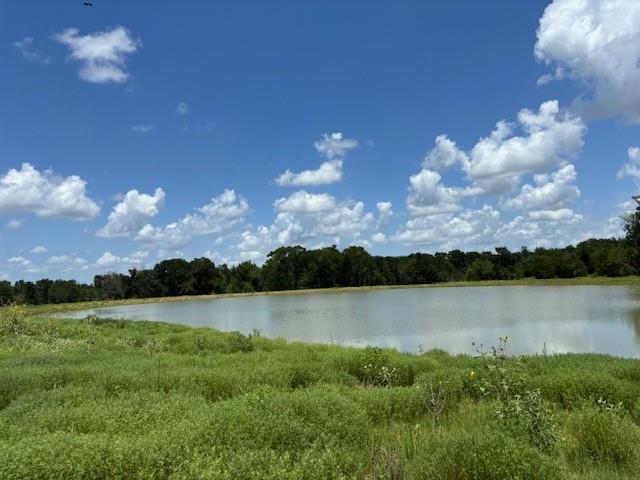 123 Fcr 1000 Road Wortham, TX 76693 - Photo 10 of 18 a view of a lake from a yard