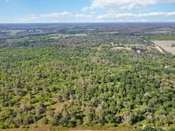 Tbd High Grove Road Cedar Creek, TX 78612 - Photo 9 of 15 an aerial view of a houses