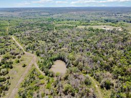 Tbd High Grove Road Cedar Creek, TX 78612 - Photo 10 of 15 a view of a big yard with lots of trees