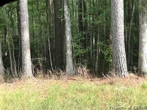629 Chapel Neck Road North, VA 23128 - Photo 2 of 4 View of local wilderness