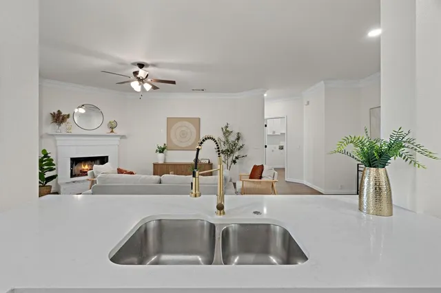a view of a kitchen sink a faucet a fireplace and a potted plant
