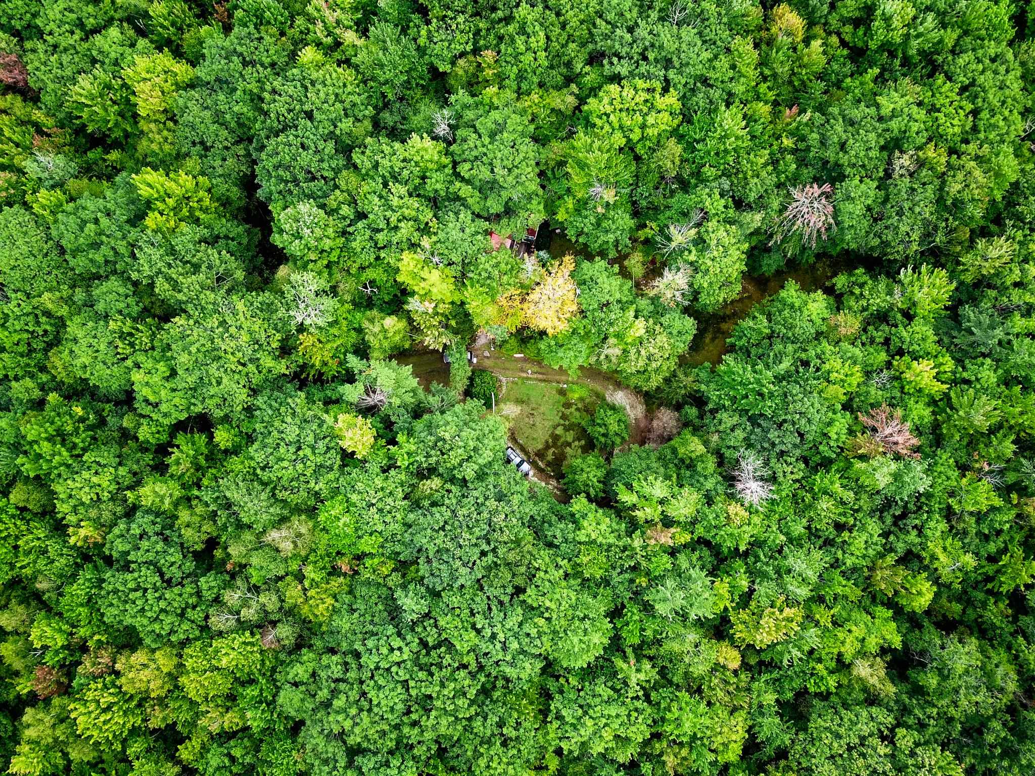 2 Marlow Road Washington, NH 03280 - Photo 16 of 40