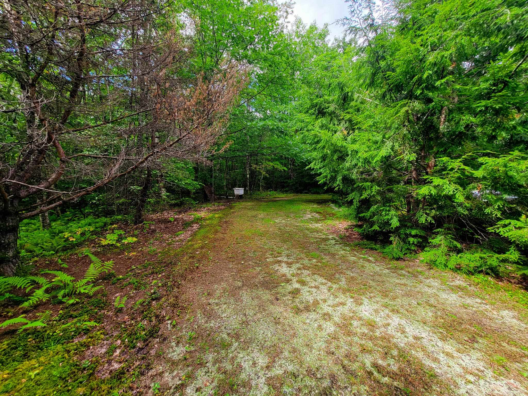 2 Marlow Road Washington, NH 03280 - Photo 23 of 40