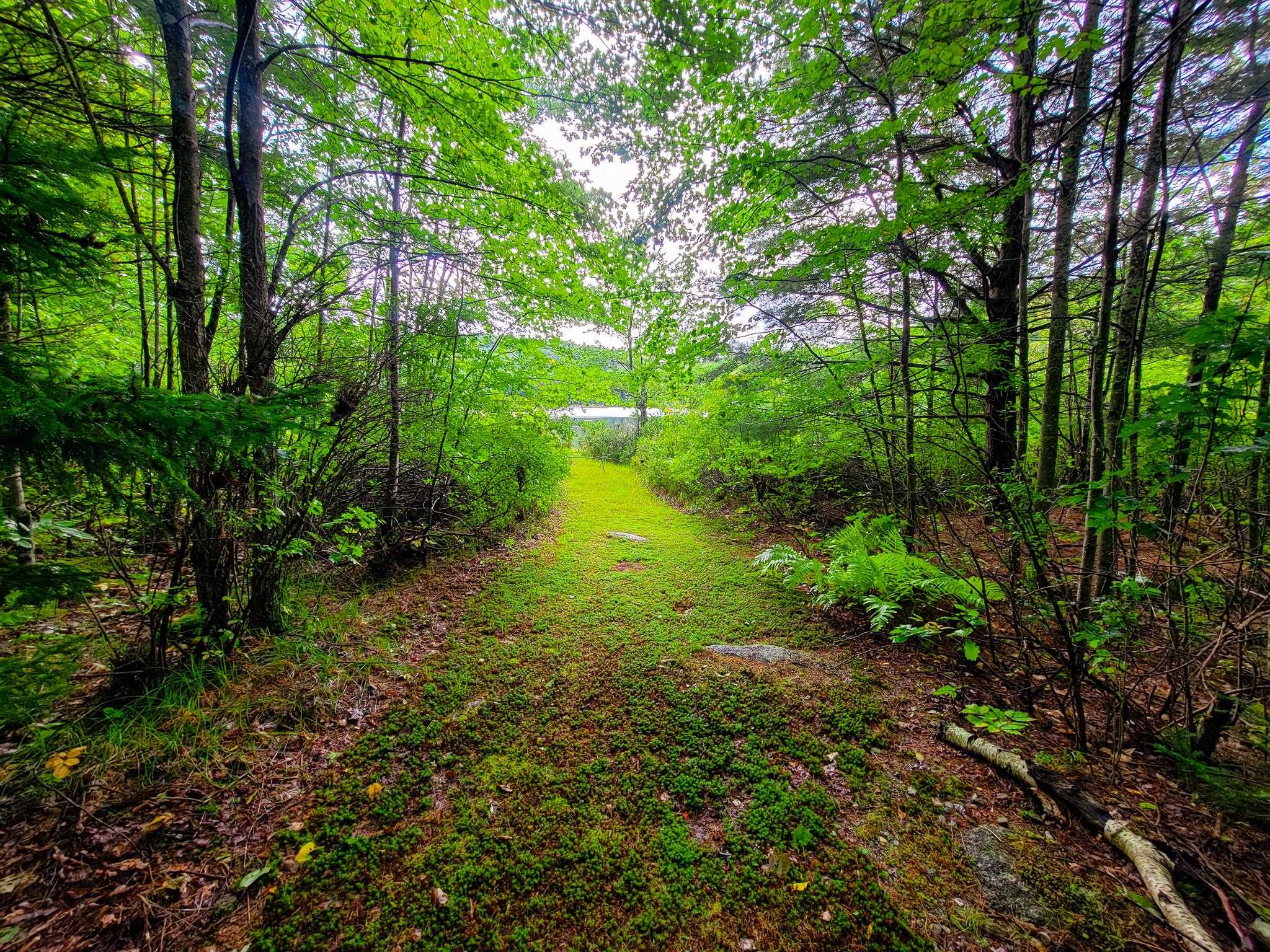 2 Marlow Road Washington, NH 03280 - Photo 25 of 40