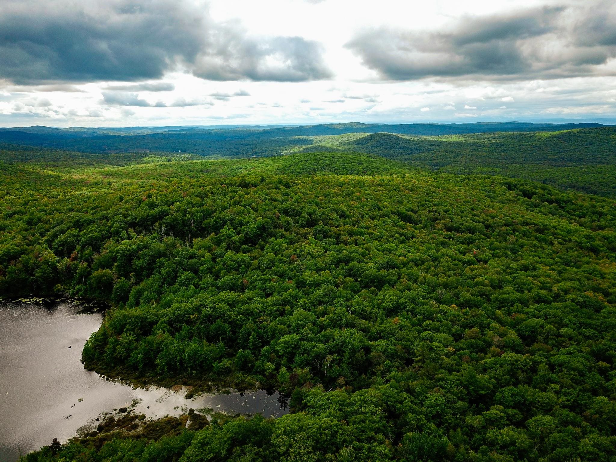 2 Marlow Road Washington, NH 03280 - Photo 29 of 40