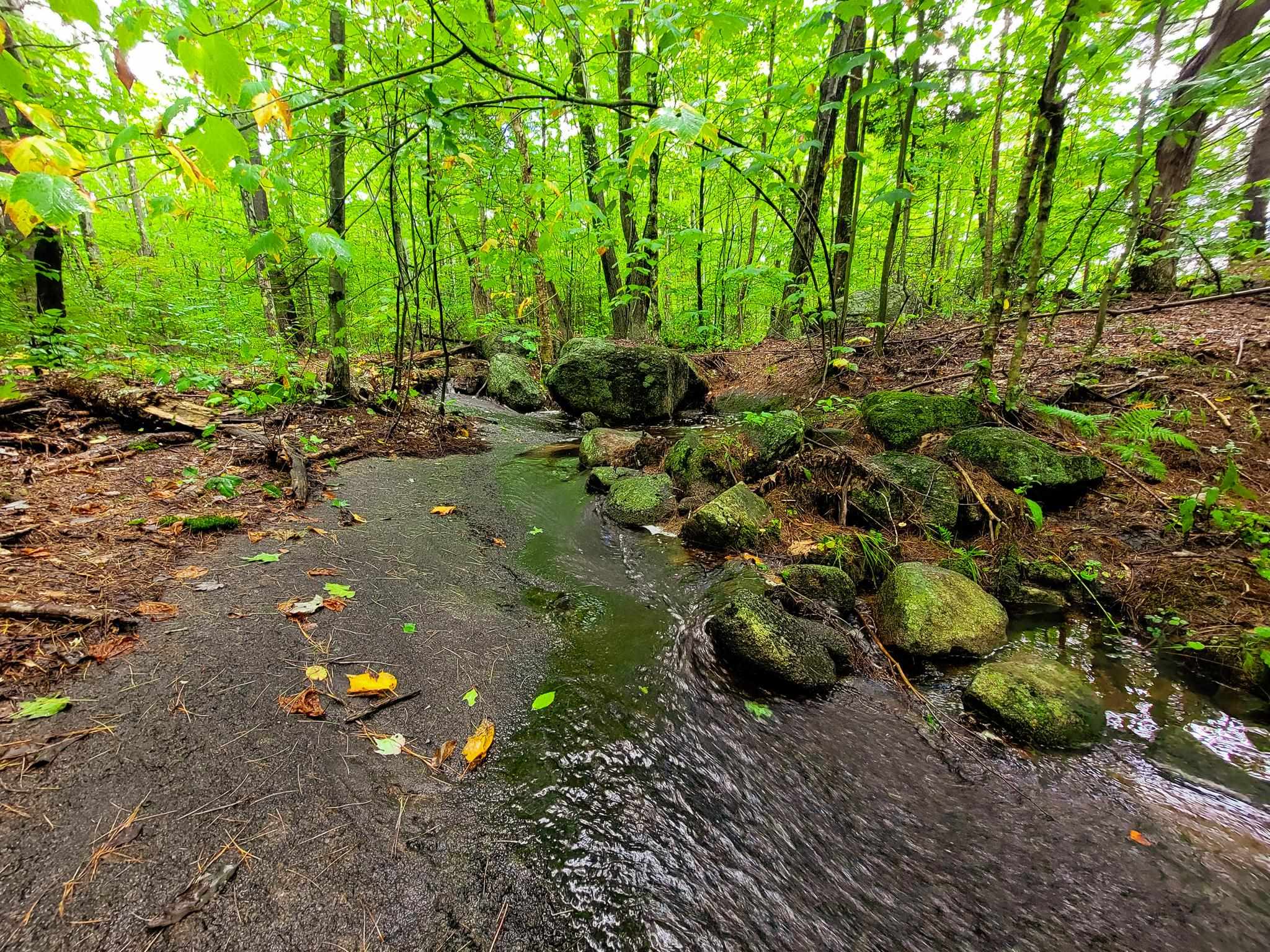 2 Marlow Road Washington, NH 03280 - Photo 31 of 40