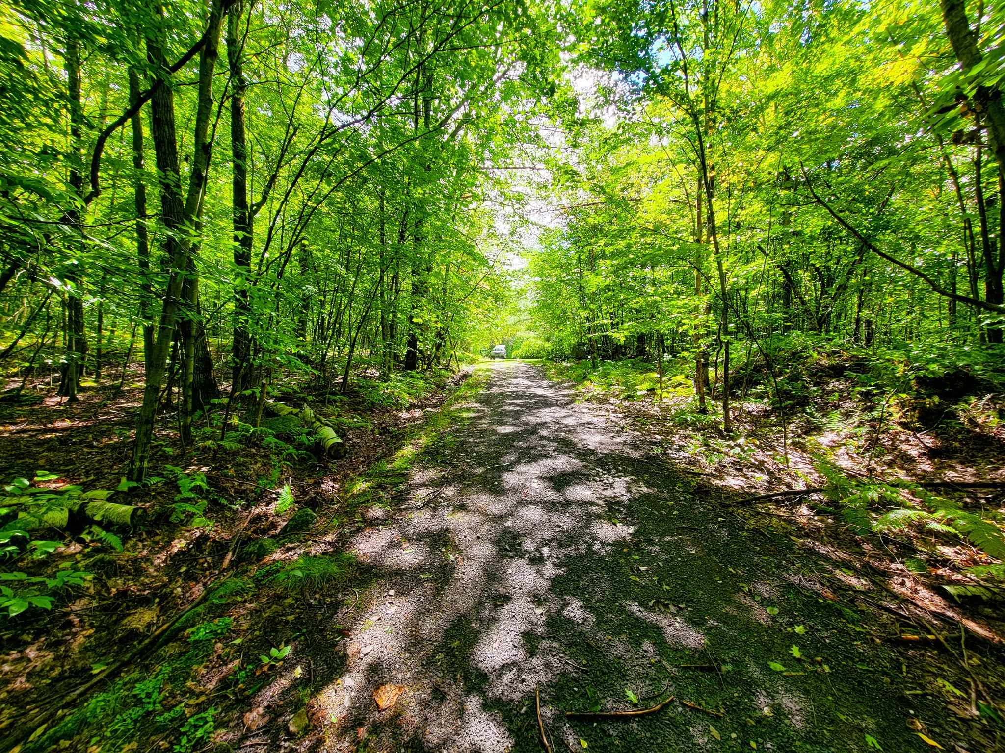 2 Marlow Road Washington, NH 03280 - Photo 33 of 40