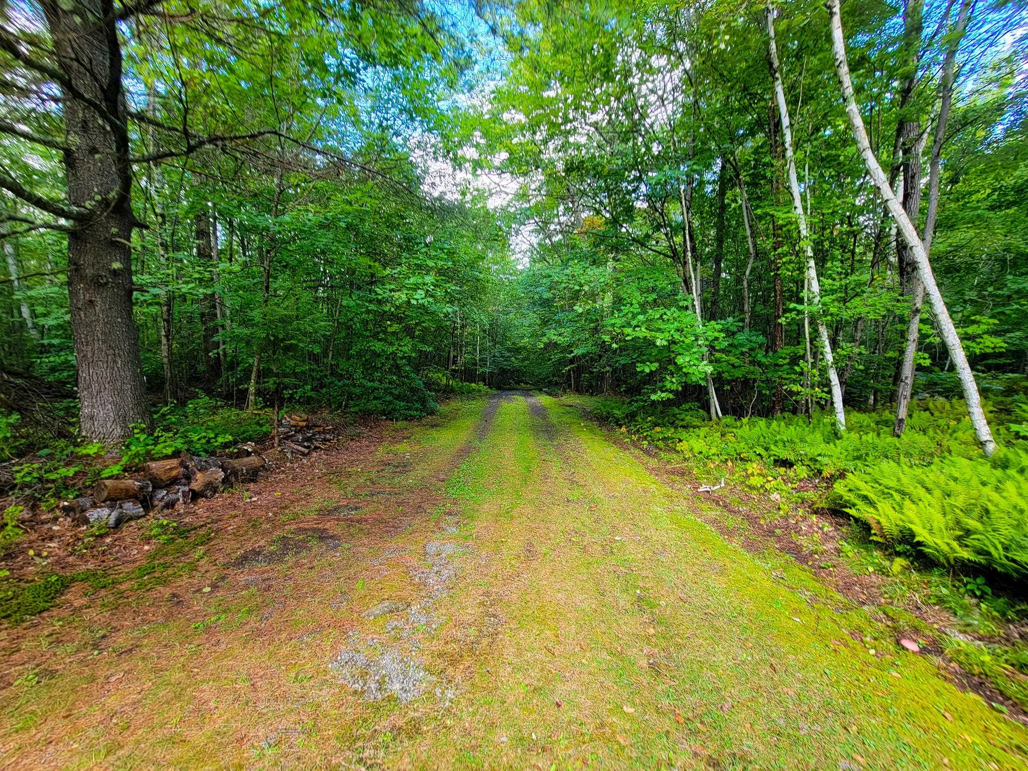 2 Marlow Road Washington, NH 03280 - Photo 34 of 40