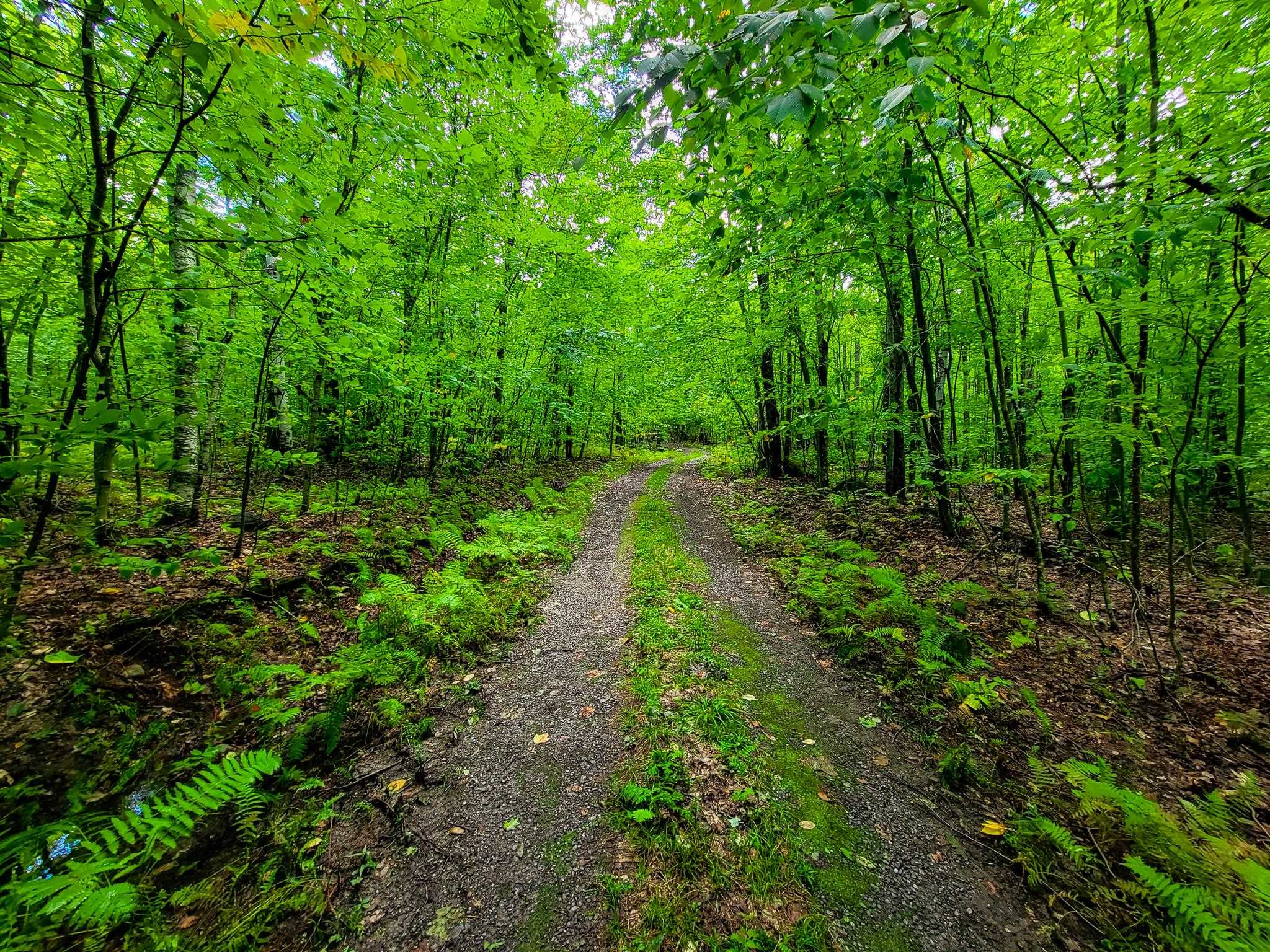 2 Marlow Road Washington, NH 03280 - Photo 35 of 40