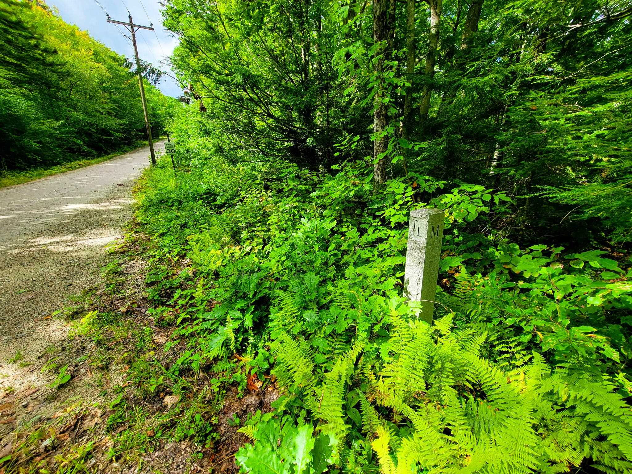 2 Marlow Road Washington, NH 03280 - Photo 39 of 40